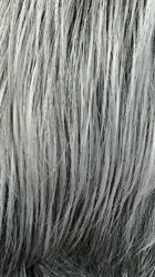 BRITTAN thumbnail 12