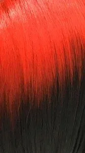 BFF LACE FREESIA thumbnail 9