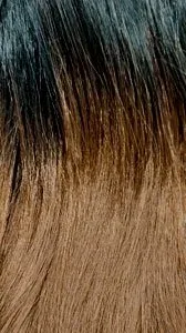 ILLUZE 4X4 LACE BOHO BOX BOB thumbnail 6