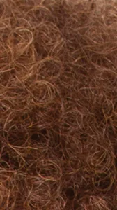 HH YANNI thumbnail 11