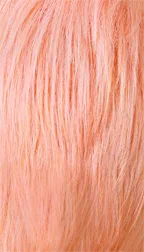 CHICAGO thumbnail 23