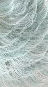 SUPER CUTE thumbnail 21