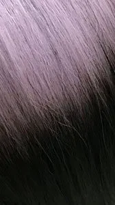 BFF LACE FREESIA thumbnail 8