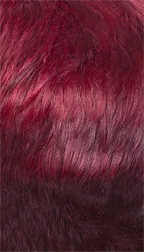 HH CODI thumbnail 12