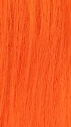 HH CLORIS thumbnail 16