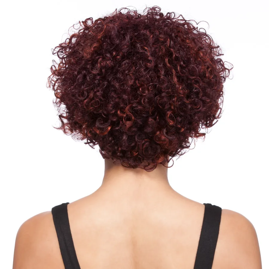 HH ESTEBA thumbnail 2